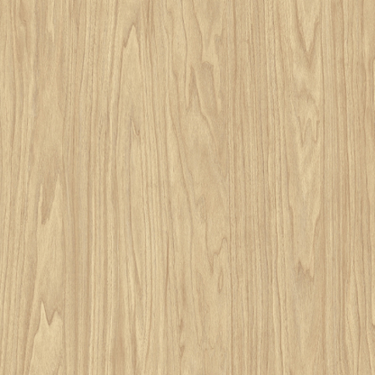 Armoire de cuisine du bas 1 porte (21''L)