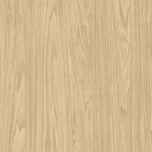 Armoire de cuisine du bas 1 porte (21''L)