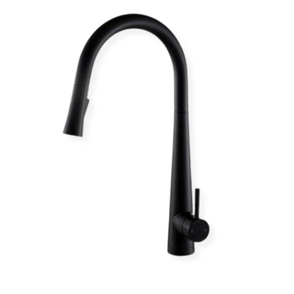 Floresta kitchen faucet