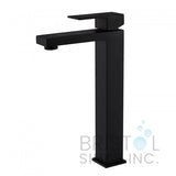 Palm bathroom faucet