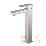 Palm bathroom faucet